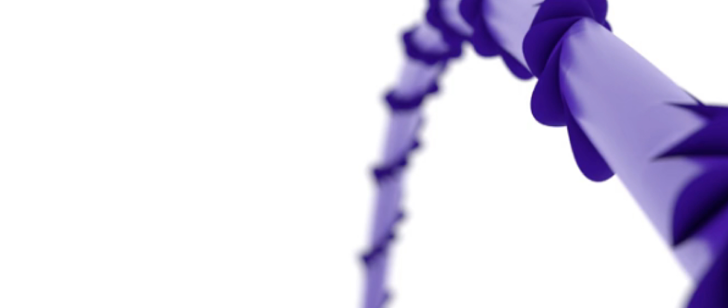 Quill here white background 1440 x 610(1)